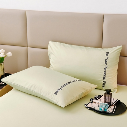 91家纺网 家纺一手货源 找家纺 七仙女家纺 2025新款水洗真丝天丝系列单枕套 浅豆绿