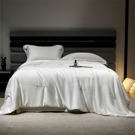 91家纺网 家纺一手货源 找家纺 （总）A+爱家 2024新款高端提花双宫茧桑蚕丝被子春秋被蚕丝冬被