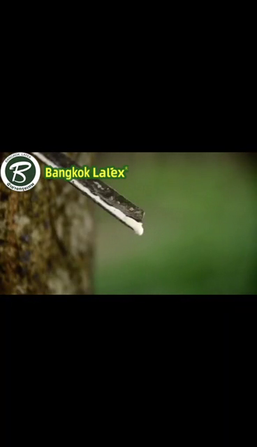 91家纺网 家纺一手货源 找家纺 泰国曼谷乳胶枕枫叶针织狼牙曲线按摩儿童A品乳胶枕裸芯批发