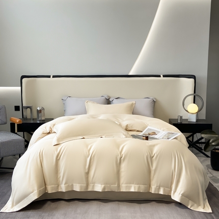 艾佳 2025新款纯色莱赛尔天丝四件套 极地白