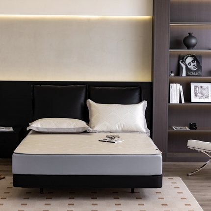 91家纺网 家纺一手货源 找家纺 （总）本希家居 2023新款高端可水洗冰丝席床笠款