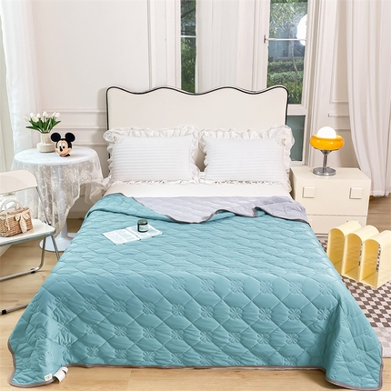 91家纺网 家纺一手货源 找家纺 （总）苏迪 2025新款凉感丝夏被夏凉被空调被