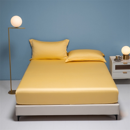 91家纺网 家纺一手货源 找家纺 （总）DC 2024新款60S进口天丝单床笠