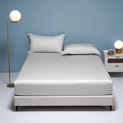 91家纺网 家纺一手货源 找家纺 （总）DC 2024新款60S进口天丝单床笠