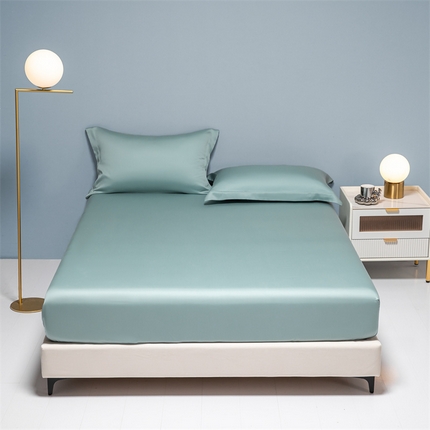 91家纺网 家纺一手货源 找家纺 （总）DC 2024新款60S进口天丝单床笠