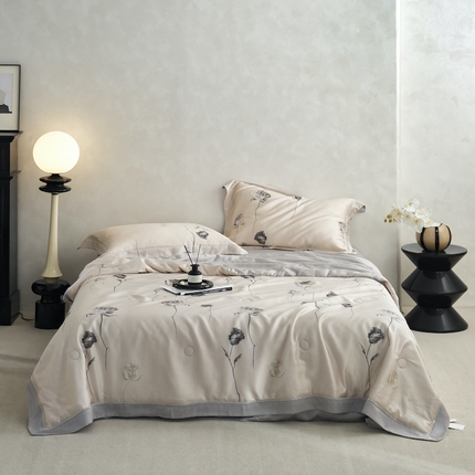 丽笙 2023新款A类兰精天丝印花镂空夏被 惠南