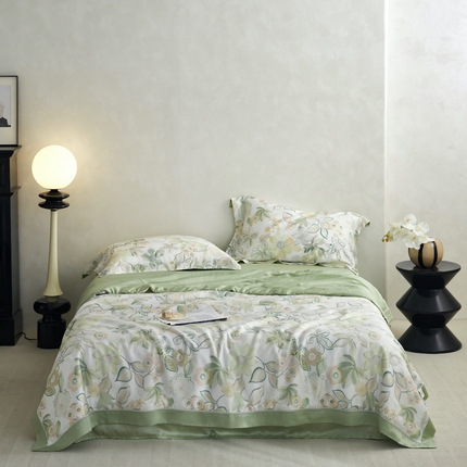 丽笙 2023新款A类兰精天丝印花镂空夏被 茯苓