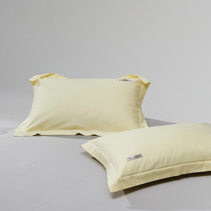 91家纺网 家纺一手货源 找家纺 （总）8小时家纺 2023新款长绒棉单品枕套