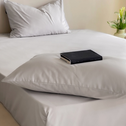 例外Home 2023新款双股长绒棉“简”系列 枕套 简-浅灰