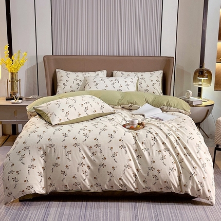 畅畅家纺2023新款a类双层纱水洗棉麻四件套（可卖单品） 米果