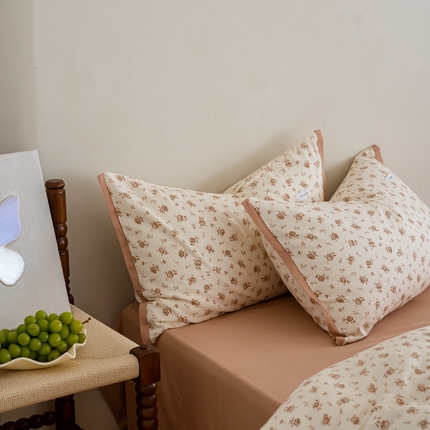 2023时光里 春夏A类双层纱 枕套 杏花