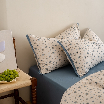 2023时光里 春夏A类双层纱 枕套 蓝馨