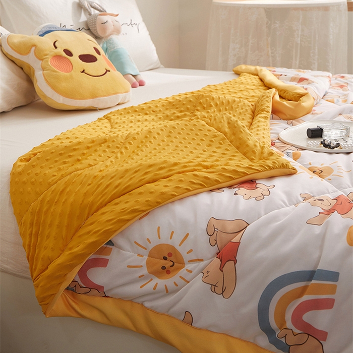 91家纺网 家纺一手货源 找家纺 一米阳光 2023新款凉感丝豆豆款包边夏被 彩虹维尼