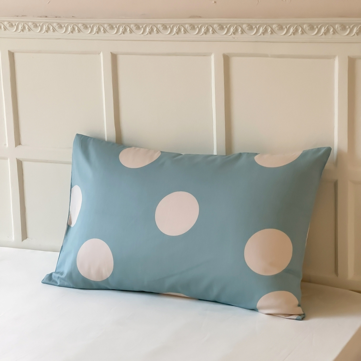 91家纺网 家纺一手货源 找家纺 窝米 全棉斜纹枕套（简约类） 拉卡蓝枕套