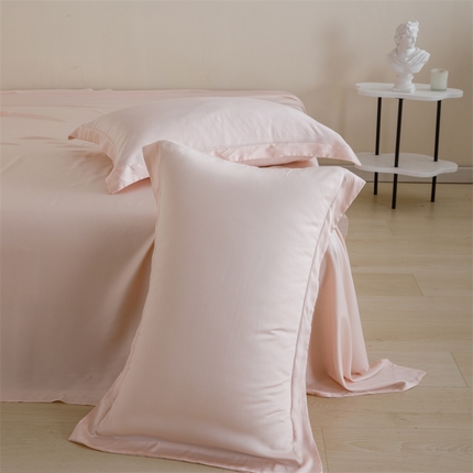 芭提岛 2023新款进口60支兰精天丝套件单品枕套 粉色