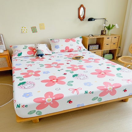 91家纺网 家纺一手货源 找家纺 （总）印季 2023新款全棉加厚老粗布单品床笠