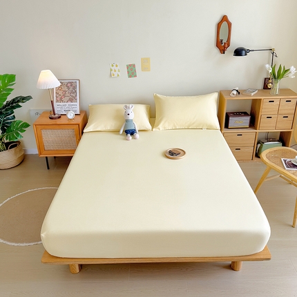 91家纺网 家纺一手货源 找家纺 （总）印季 2023新款全棉加厚老粗布单品床笠