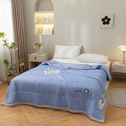 91家纺网 家纺一手货源 找家纺 （总）帕拉美拉 2025新款凉感丝纯色夏被