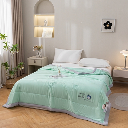 91家纺网 家纺一手货源 找家纺 （总）帕拉美拉 2025新款凉感丝纯色夏被