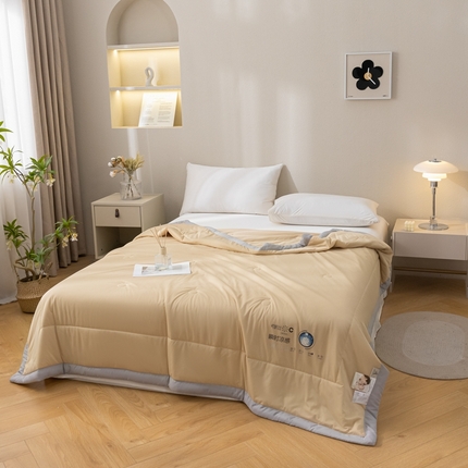 91家纺网 家纺一手货源 找家纺 （总）帕拉美拉 2025新款凉感丝纯色夏被