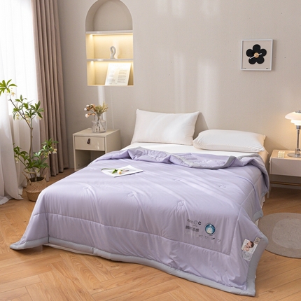 91家纺网 家纺一手货源 找家纺 （总）帕拉美拉 2025新款凉感丝纯色夏被