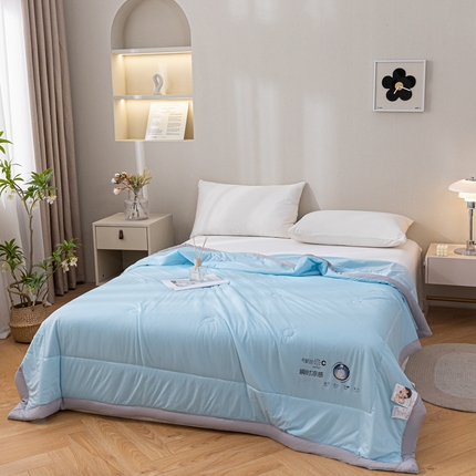 91家纺网 家纺一手货源 找家纺 （总）帕拉美拉 2025新款凉感丝纯色夏被