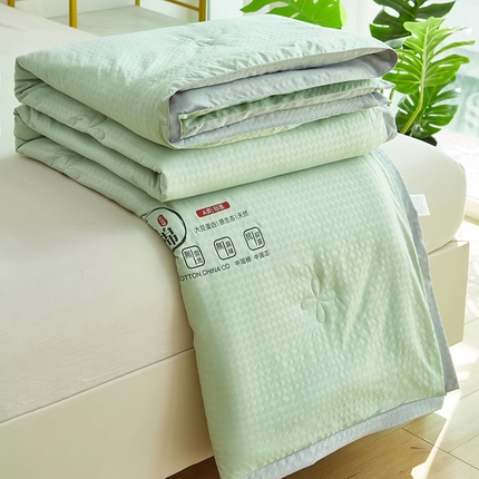 91家纺网 家纺一手货源 找家纺 中国龙 2023泡泡夏凉被空调被夏被薄款被子学生宿舍简约风被褥舒适春夏 绿色