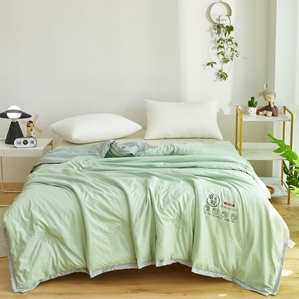 中国龙 2023泡泡夏凉被空调被夏被薄款被子学生宿舍简约风被褥舒适春夏 绿色