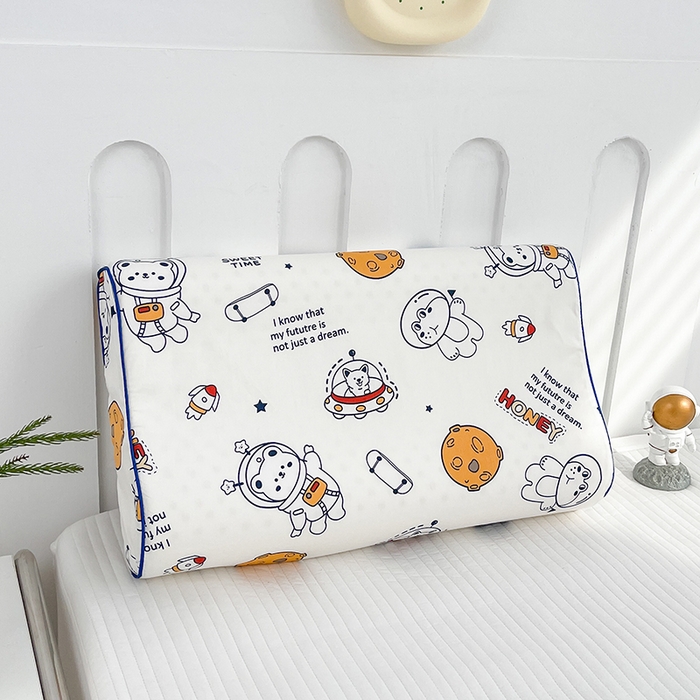 91家纺网 家纺一手货源 找家纺 良佐生活  2023新款A类60支全棉贡缎乳胶枕枕套 遨游太空