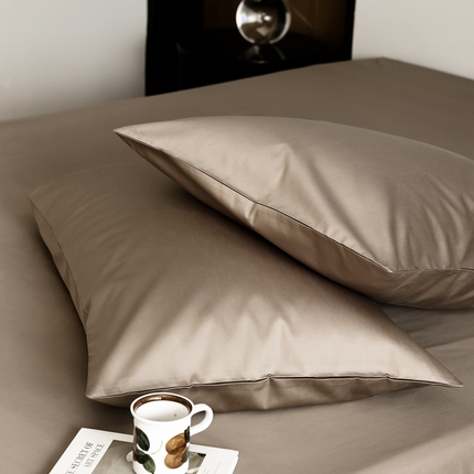 寐眠 2023新款100支纯棉套件单枕套 时光棕