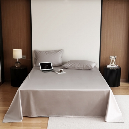 寐眠 2023新款100支纯棉长绒棉单床单 星辰灰【床单】