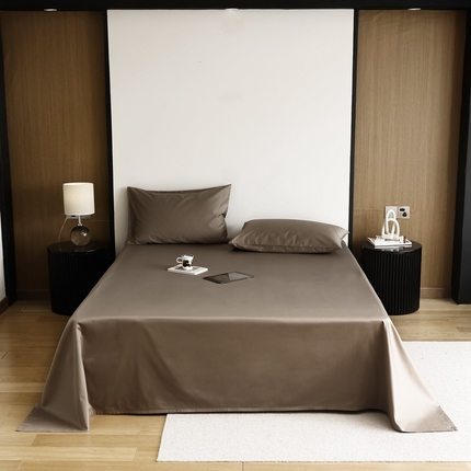 寐眠 2023新款100支纯棉长绒棉单床单 时光棕【床单】