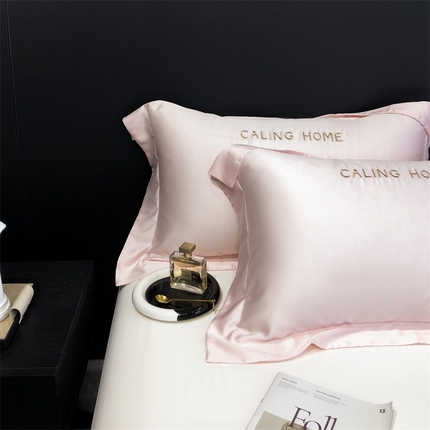91家纺网 家纺一手货源 找家纺 （总）凯磊家纺 新款兰精天丝单品系列-枕套