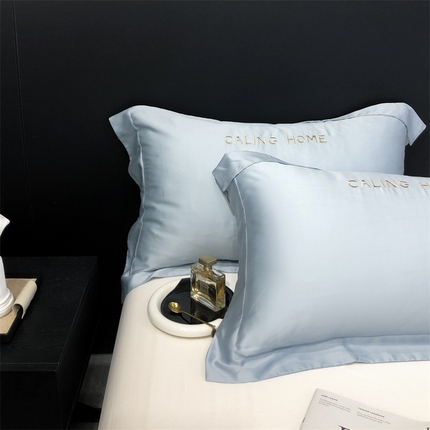 91家纺网 家纺一手货源 找家纺 （总）凯磊家纺 新款兰精天丝单品系列-枕套