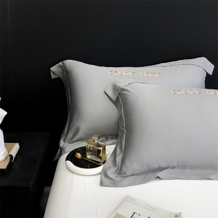 91家纺网 家纺一手货源 找家纺 凯磊家纺 新款兰精天丝单品系列-枕套 星晨银