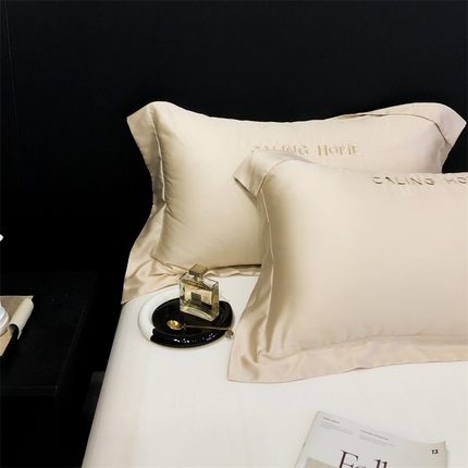 91家纺网 家纺一手货源 找家纺 （总）凯磊家纺 新款兰精天丝单品系列-枕套