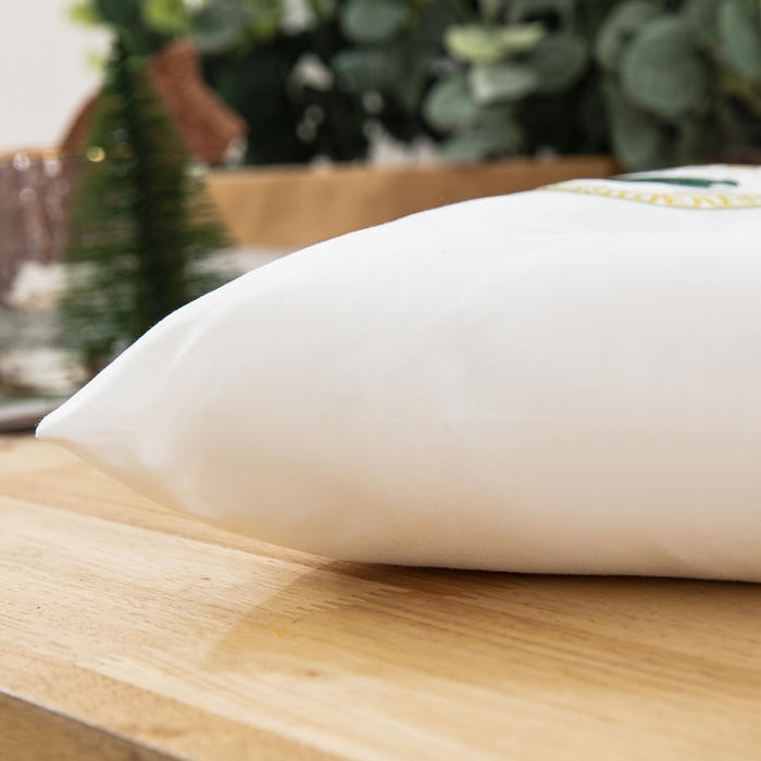 91家纺网 家纺一手货源 找家纺 （总）乐秀家纺 2023新款A类全棉本色大豆纤维枕头枕芯