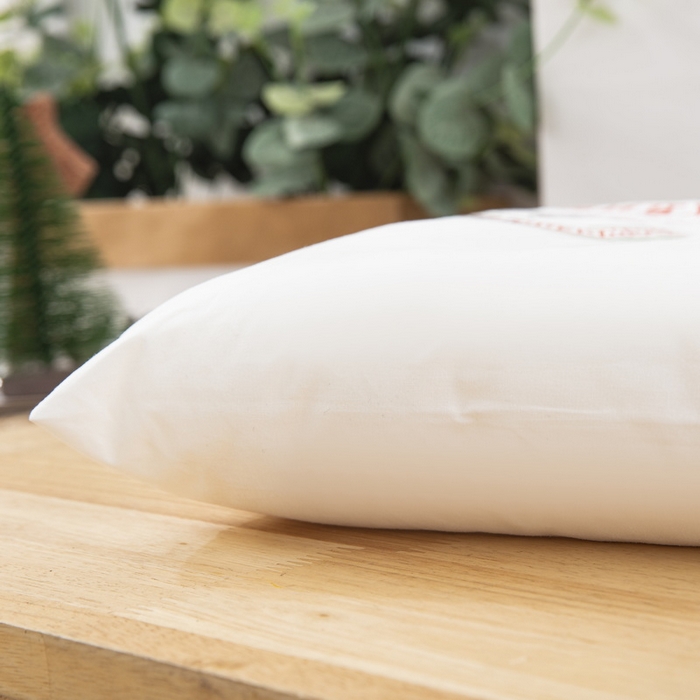 91家纺网 家纺一手货源 找家纺 乐秀家纺 2023新款A类全棉本色大豆纤维枕头枕芯 草莓兔