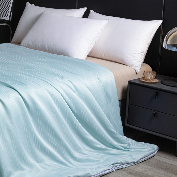 91家纺网 家纺一手货源 找家纺 恒鑫2025新款纯色全棉蚕丝被春秋被 夏被 加厚冬被拉链子母被 水草兰