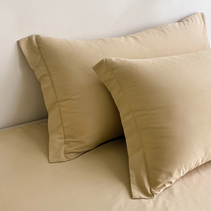 91家纺网 家纺一手货源 找家纺 艾迪尚家纺 2025新款100s生态全棉纯色磨毛单品单枕套 布莱克黄