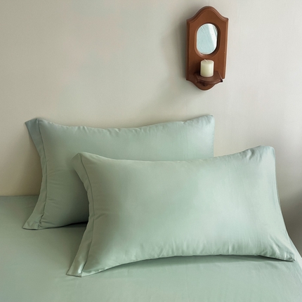 91家纺网 家纺一手货源 找家纺 艾迪尚家纺 2025新款100s生态全棉纯色磨毛单品单枕套 阿克曼绿