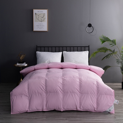 91家纺网 家纺一手货源 找家纺 御眠纺 2023新款全棉平板羽绒被子被芯 豆沙