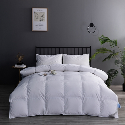 91家纺网 家纺一手货源 找家纺 御眠纺 2023新款全棉平板羽绒被子被芯 白色