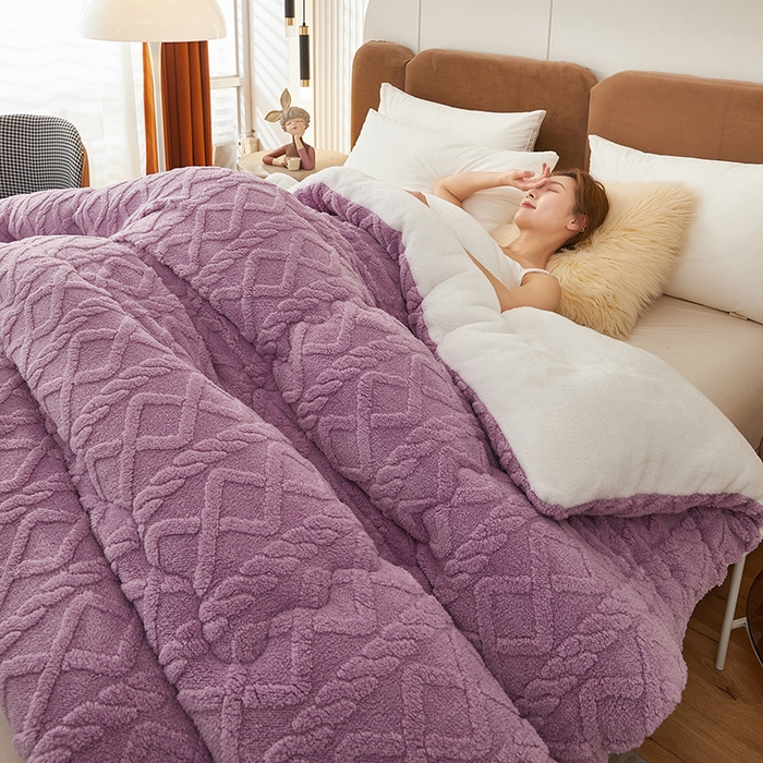 91家纺网 家纺一手货源 找家纺 牛魔王 2023新款加厚塔芙绒冬被牛奶绒羊羔绒被子北极绒被芯 香芋紫