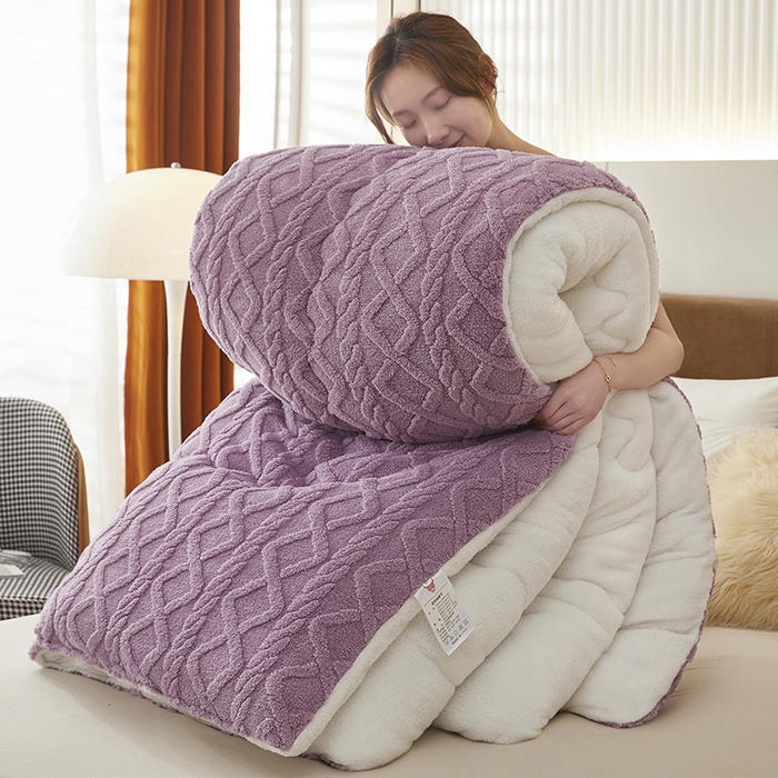 91家纺网 家纺一手货源 找家纺 牛魔王 2023新款加厚塔芙绒冬被牛奶绒羊羔绒被子北极绒被芯 香芋紫