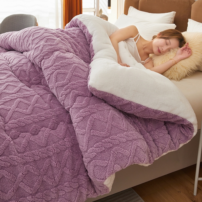 91家纺网 家纺一手货源 找家纺 牛魔王 2023新款加厚塔芙绒冬被牛奶绒羊羔绒被子北极绒被芯 香芋紫