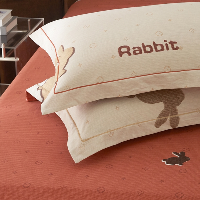 91家纺网 家纺一手货源 找家纺 启航家居 2025直播热款全棉精梳磨毛印花四件套-小资格调系列 乐奇-米