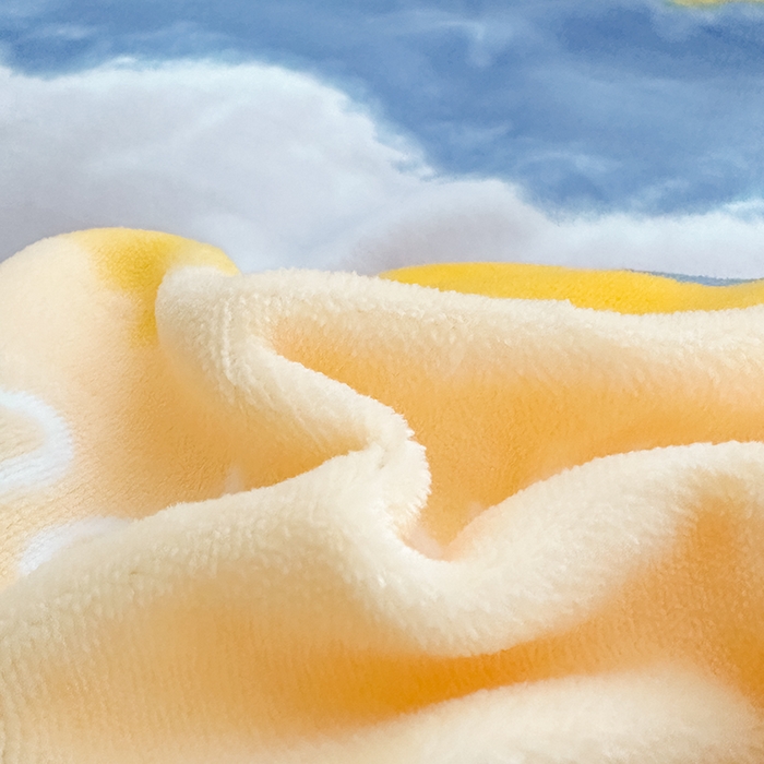 91家纺网 家纺一手货源 找家纺 新款230克印花牛奶绒床单定制定做尺寸  畅想