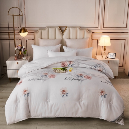 91家纺网 家纺一手货源 找家纺 （总）恋之巢家纺 2024秋冬新款桑丝被保暖加厚冬被春秋被芯被子冬被