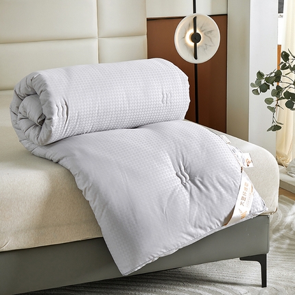 91家纺网 家纺一手货源 找家纺 （总）33家纺 2023新款A类千鸟格提花大豆被冬被芯被子